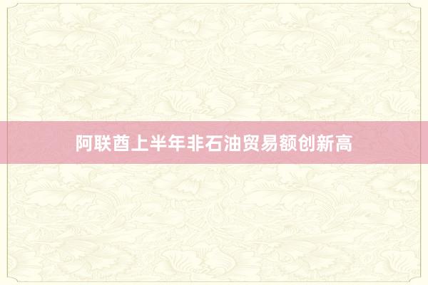 阿联酋上半年非石油贸易额创新高