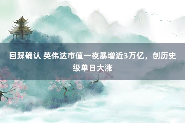 回踩确认 英伟达市值一夜暴增近3万亿，创历史级单日大涨